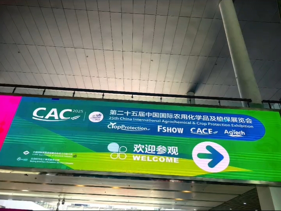 Shanghai CAC 2025-it
